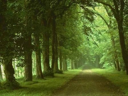 Nuance de vert.