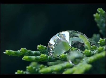 Une goutte d'eau