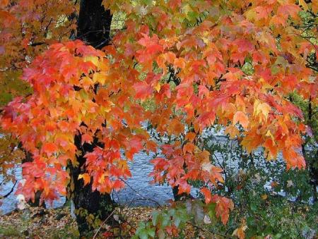 Le monde des couleurs