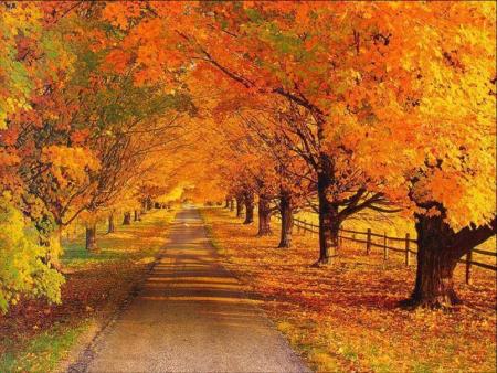 couleurs lumineuses