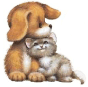 Comme chien et chat.