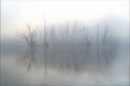 La brume