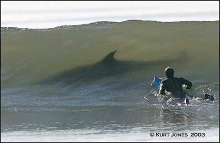 Le danger se trouve partout.