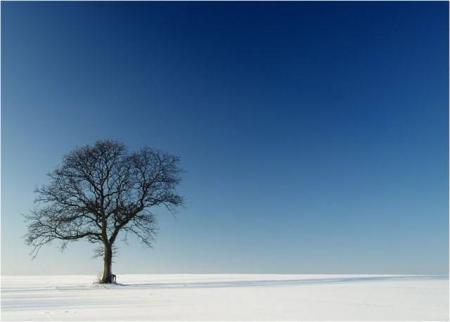 L'hiver