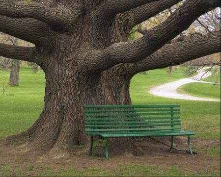 Un banc public.