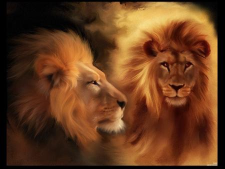 Le roi des animaux