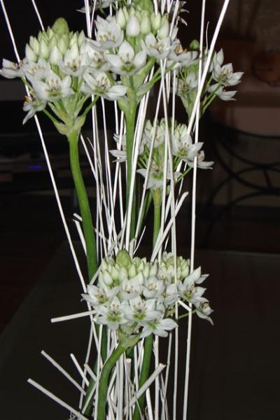 Mes réalisations